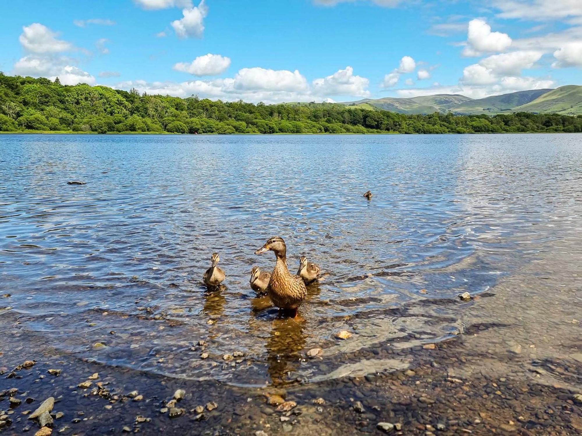 Osprey Cottage Bassenthwaite Luaran gambar