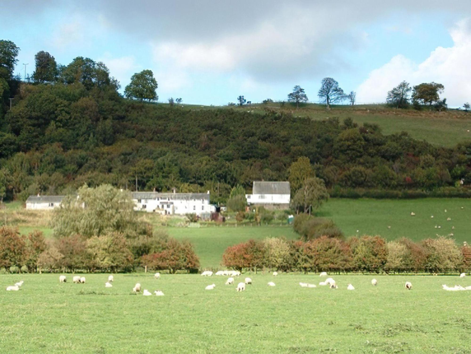 Osprey Cottage Bassenthwaite Luaran gambar